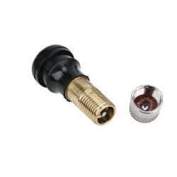 Prailgintas oro voztuvas Segway ZT3, Segway Max G3 ar panasiam  - 1 Suderinamumas: prailgintas oro voztuvas Segway ZT3, Segway M