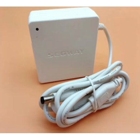 Original intern batterioplader til Segway Ninebot W1 Drift - 25v 1.5A  - 1 Original intern batterioplader til Segway Ninebot W1 
