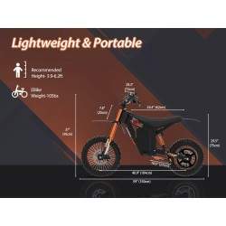 Monorim e-Moto Electric Wish007, 55 km/h, silnik 1500 W, akumulator 21Ah, regulowane zawieszenie hydrauliczne Monorim - 5 Monori